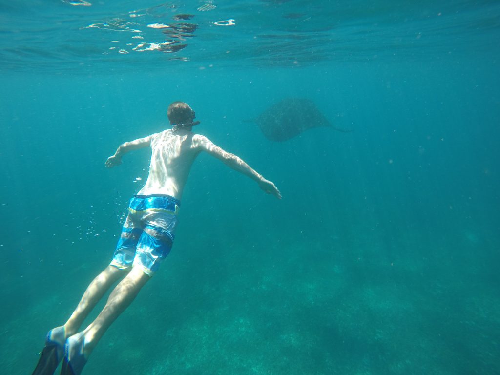 Snorkeling with Mantas - acting like one