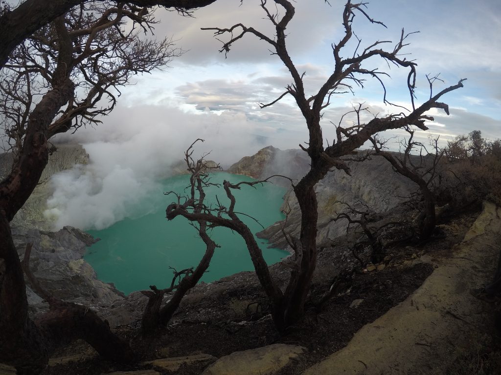 Ijen lake with dead trees