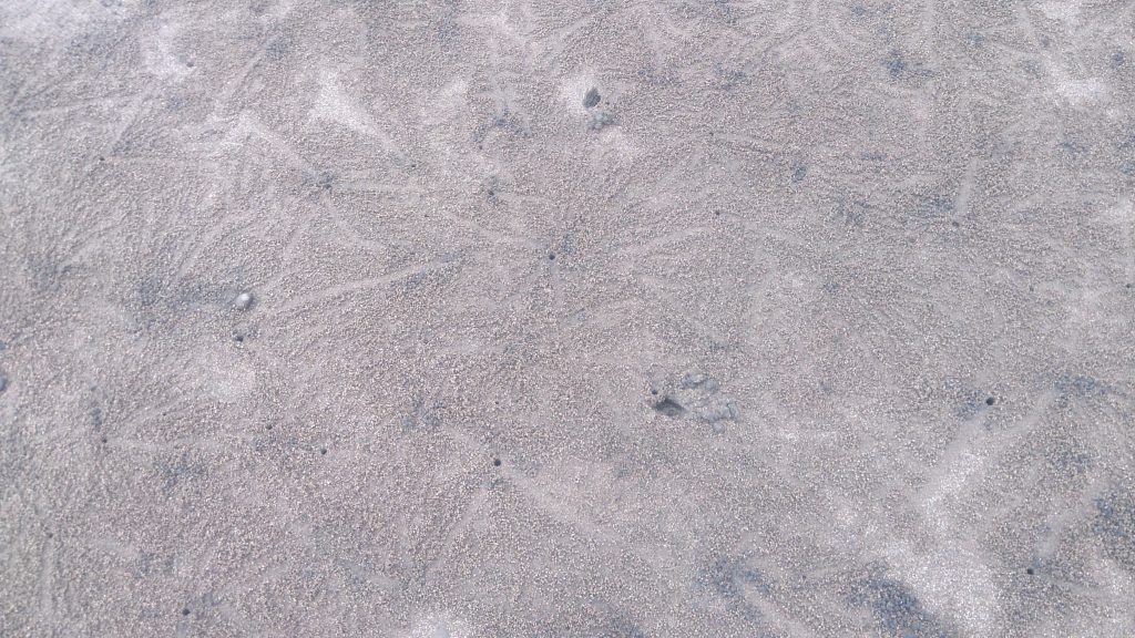 crab holes and some interesting patterns