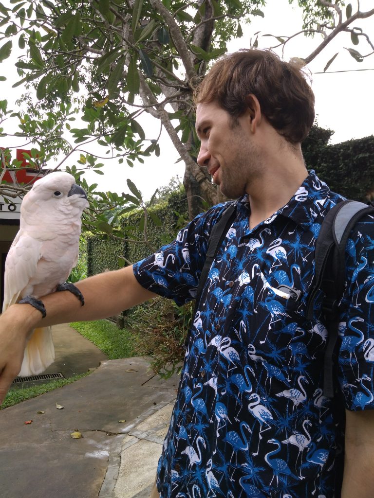 Bali bird park